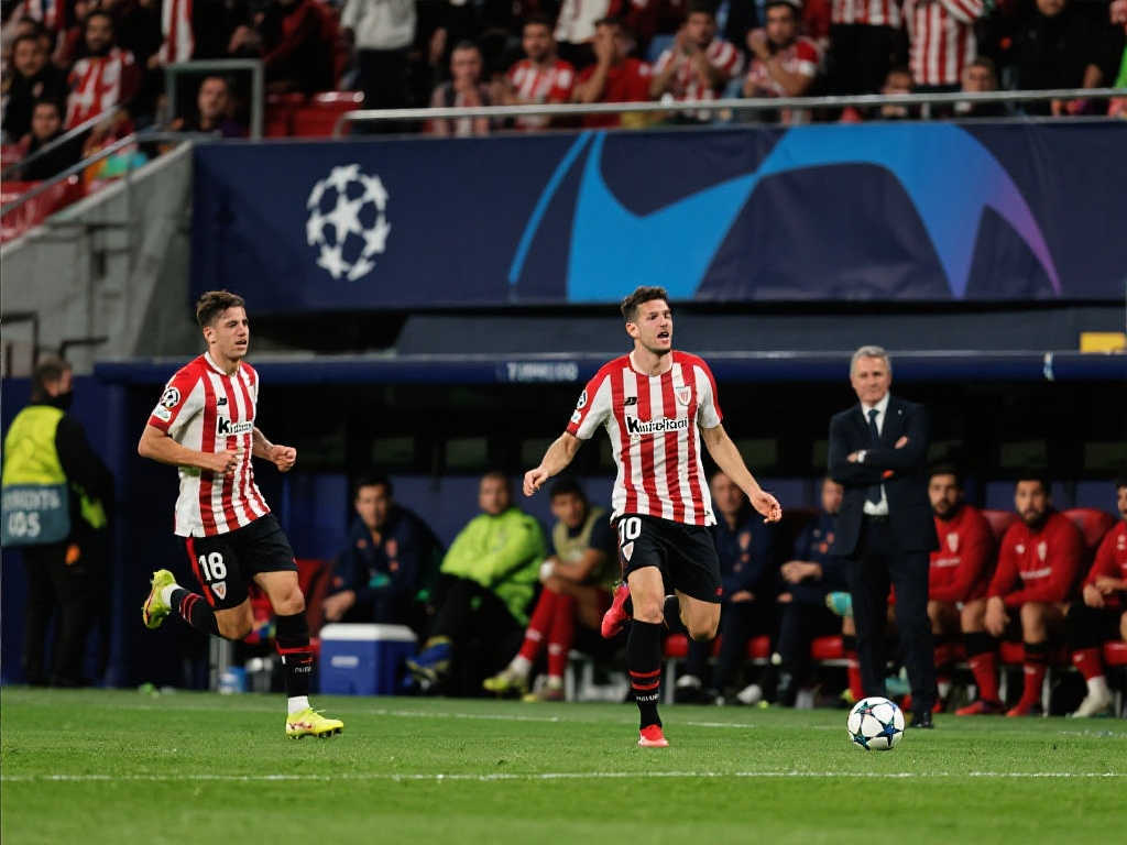 作的结果 作的结果